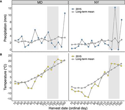 Winter cereal species, cultivar, and harvest timing affect trade-offs between forage quality and yield